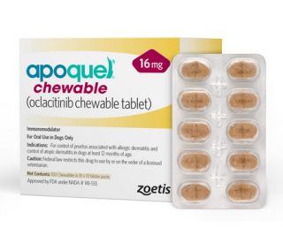 Apoquel Chewable (oclacitinib), 16 mg, 100 count-pack product and packaging 416684