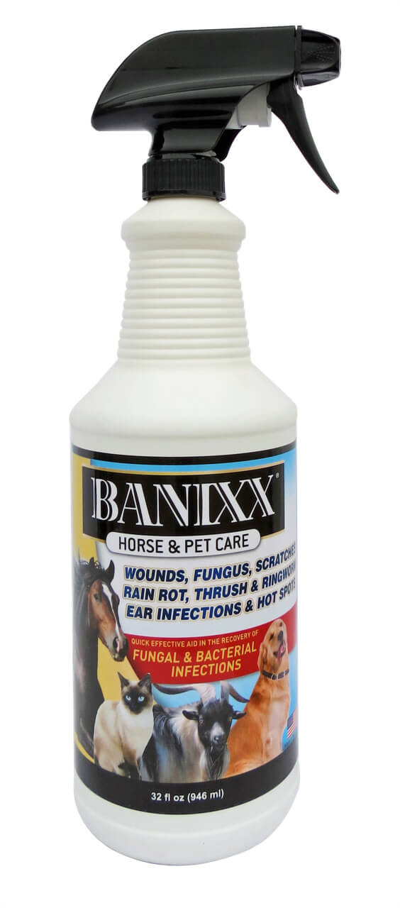 Dog hot spot banixx best sale