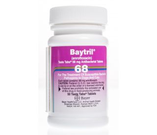Baytril Taste Tab 68 mg, 50 ct packaging 330074 