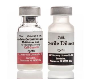 Calf-Guard, 1 dose 