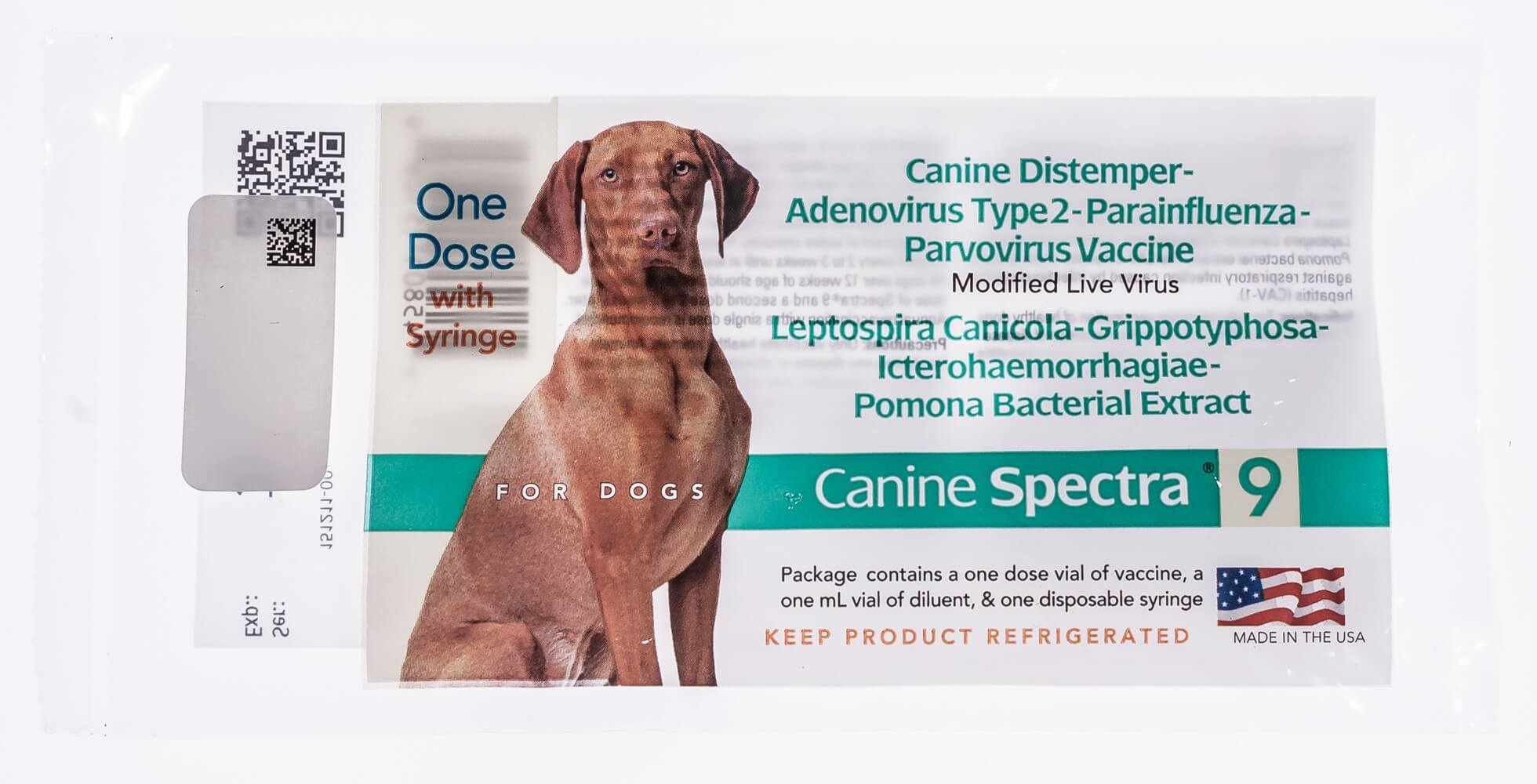 difference between canine spectra 5 6 10