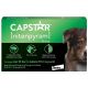 Capstar® for Large Dogs...
