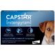 Capstar® for Small Dogs... 
