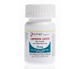 Putney carprofen cheap