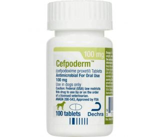 Cefpodoxime proxetil, 100 mg, 100 ct packaging 400410