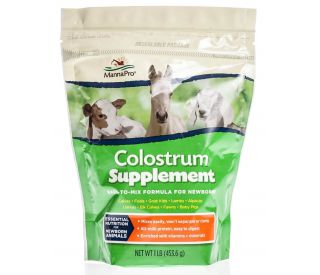 Colostrum Supplement | Santa Cruz Animal Health