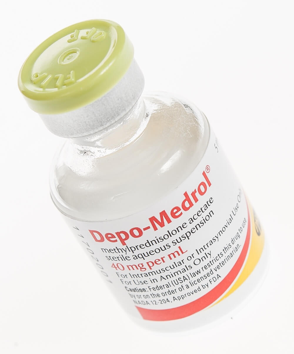 Depo medrol hot sale for dogs