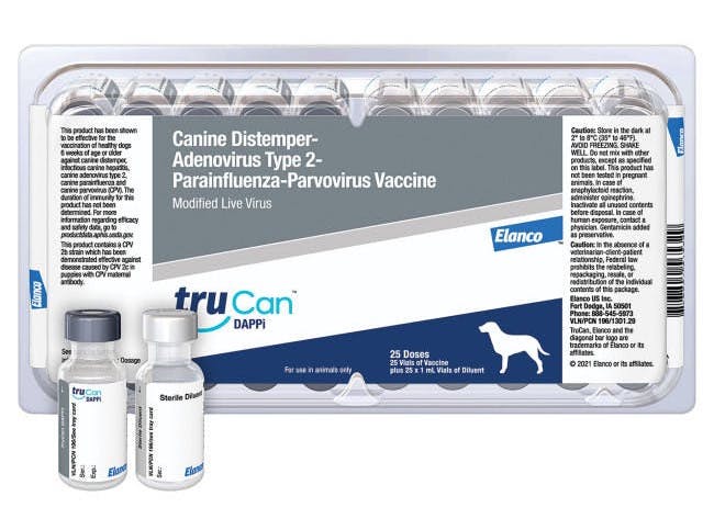 Canine adenovirus hot sale vaccine