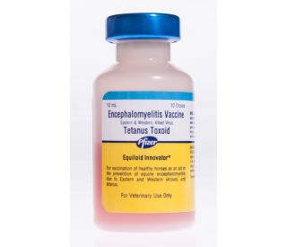 Equiloid Innovator, 10 ds packaging 331472 