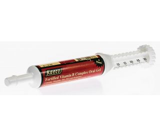 Fortified Vitamin B Complex Oral Gel, 30 ml syringe 