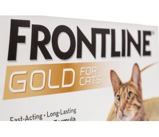 Frontline best sale gold feline