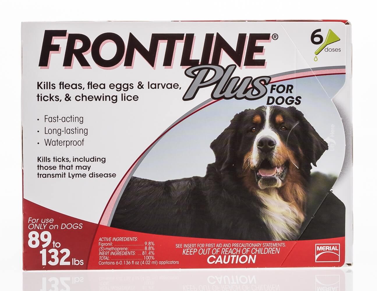 Frontline plus for dogs 8 month supply sale