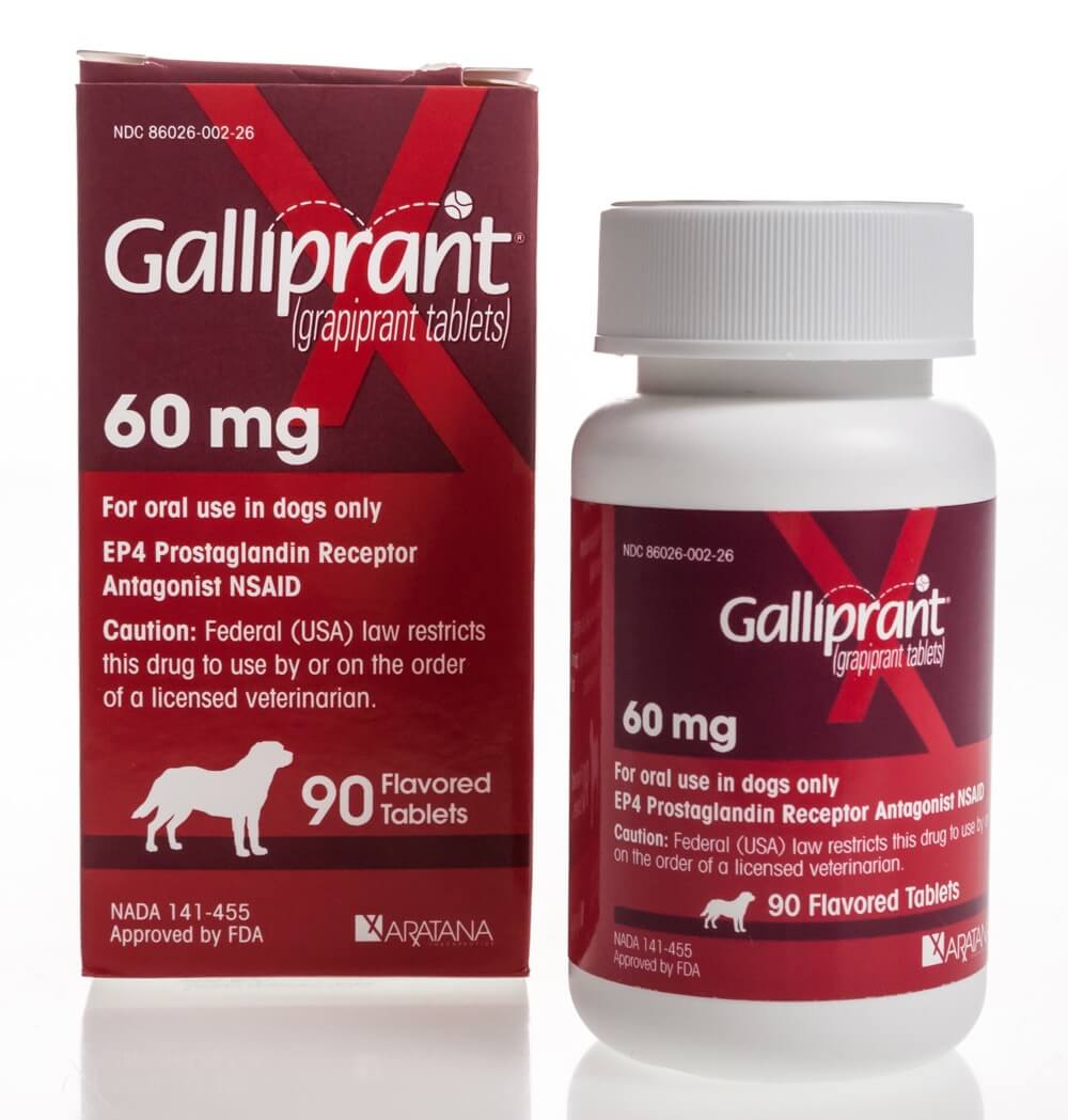 galliprant-grapiprant-tablets-60-mg-santa-cruz-animal-health