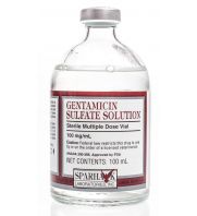 Gentamicin Sulfate Solution, 100 ml: sc-364153Rx...