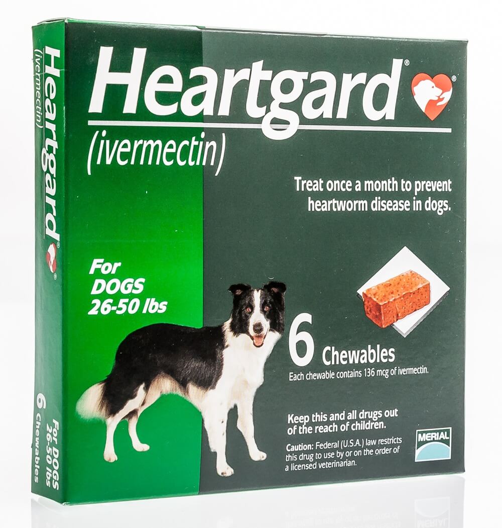 Heartgard pregnant sale dog