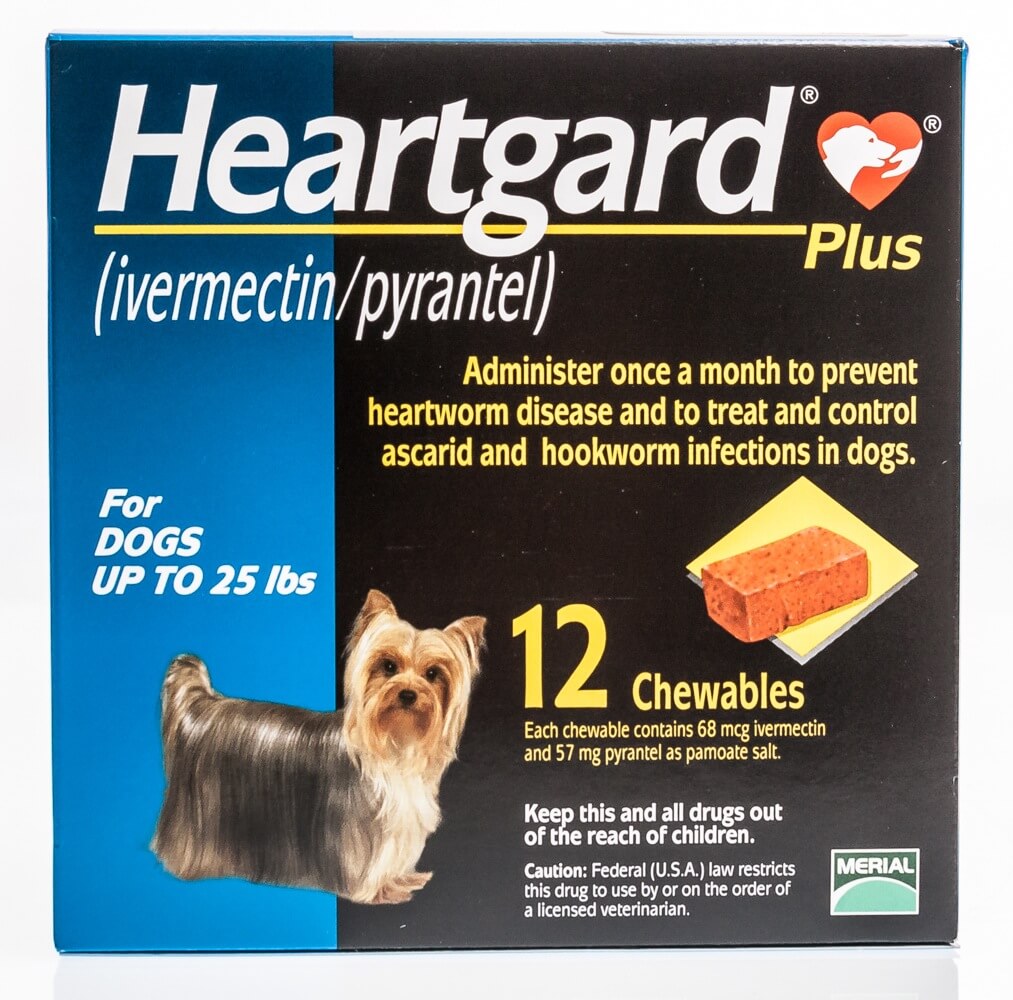 Dog ate discount two heartgard