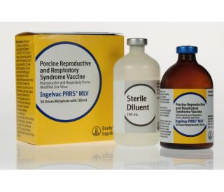 Ingelvac PRRS MLV 50 ds, 100 ml product and packaging 299484