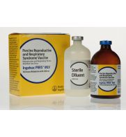 Ingelvac PRRS MLV 50 ds, 100 ml product and packaging 299484