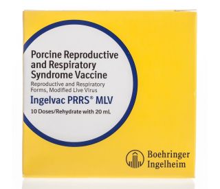 Ingelvac PRRS MLV 10 ds, 20 ml packaging 368661 