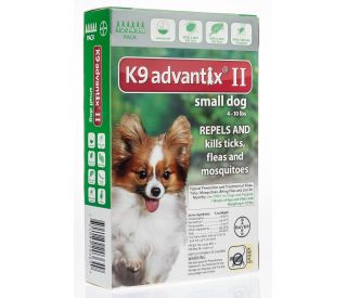 Advantix chihuahua outlet