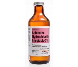 lidocaine inj