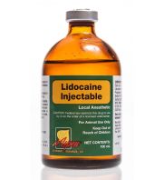 Lidocaine Inj 2%, 100 ml: sc-362977Rx...