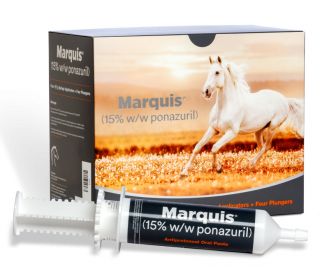 Marquis, 4 x 127 g tubes product and packaging 403409