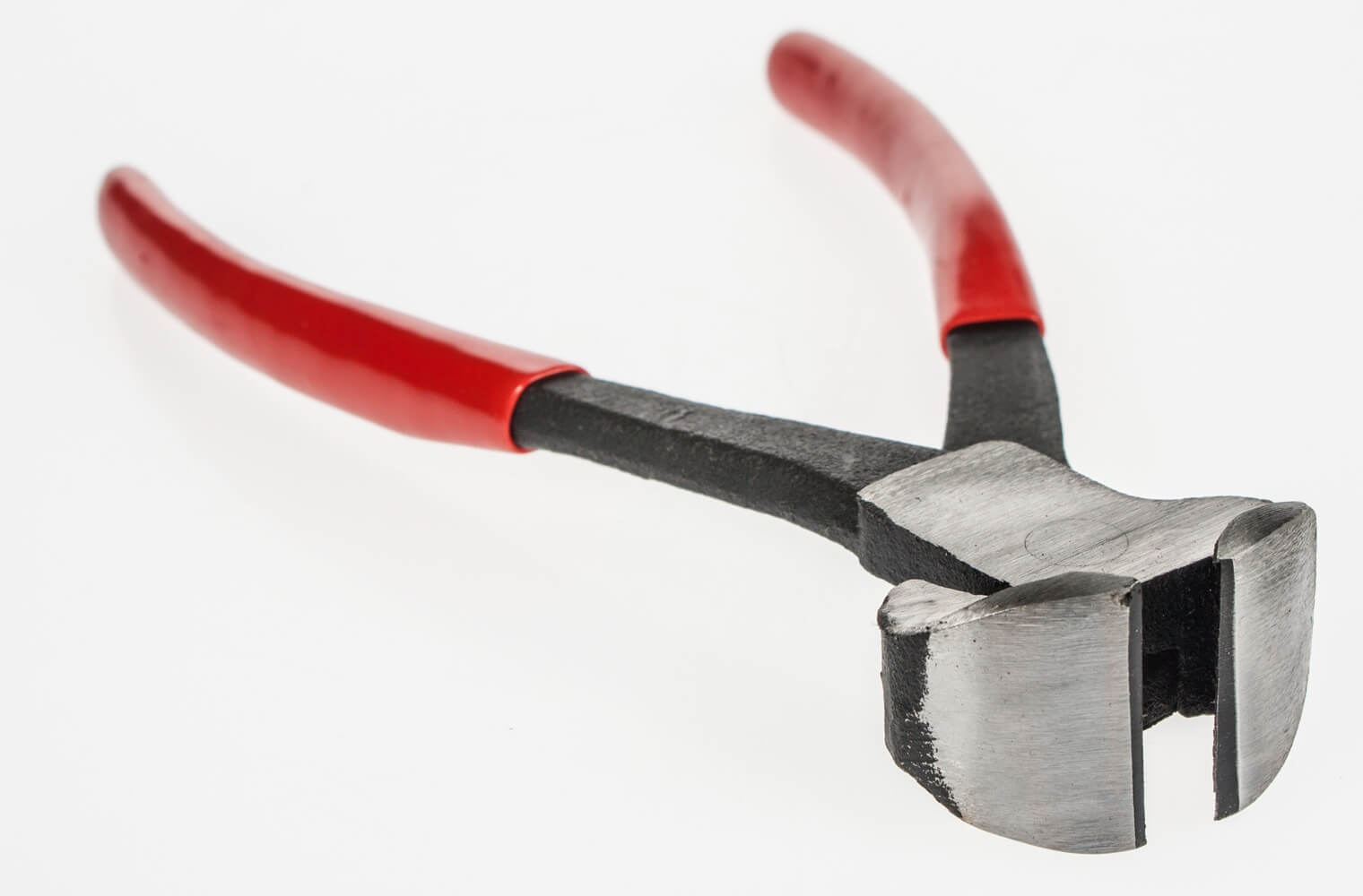 Nail Cutters w/ Vinyl Handle | Santa Cruz Animal Health