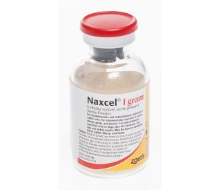 Naxcel (ceftiofur sodium) Sterile Powder, 1 gram 