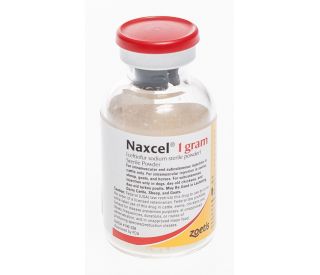 Naxcel (ceftiofur sodium) Sterile Powder, 1 g packaging 330427 