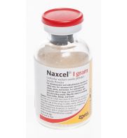 NAXCEL (ceftiofur sodium) Sterile Powder, 1 g: sc-362908Rx