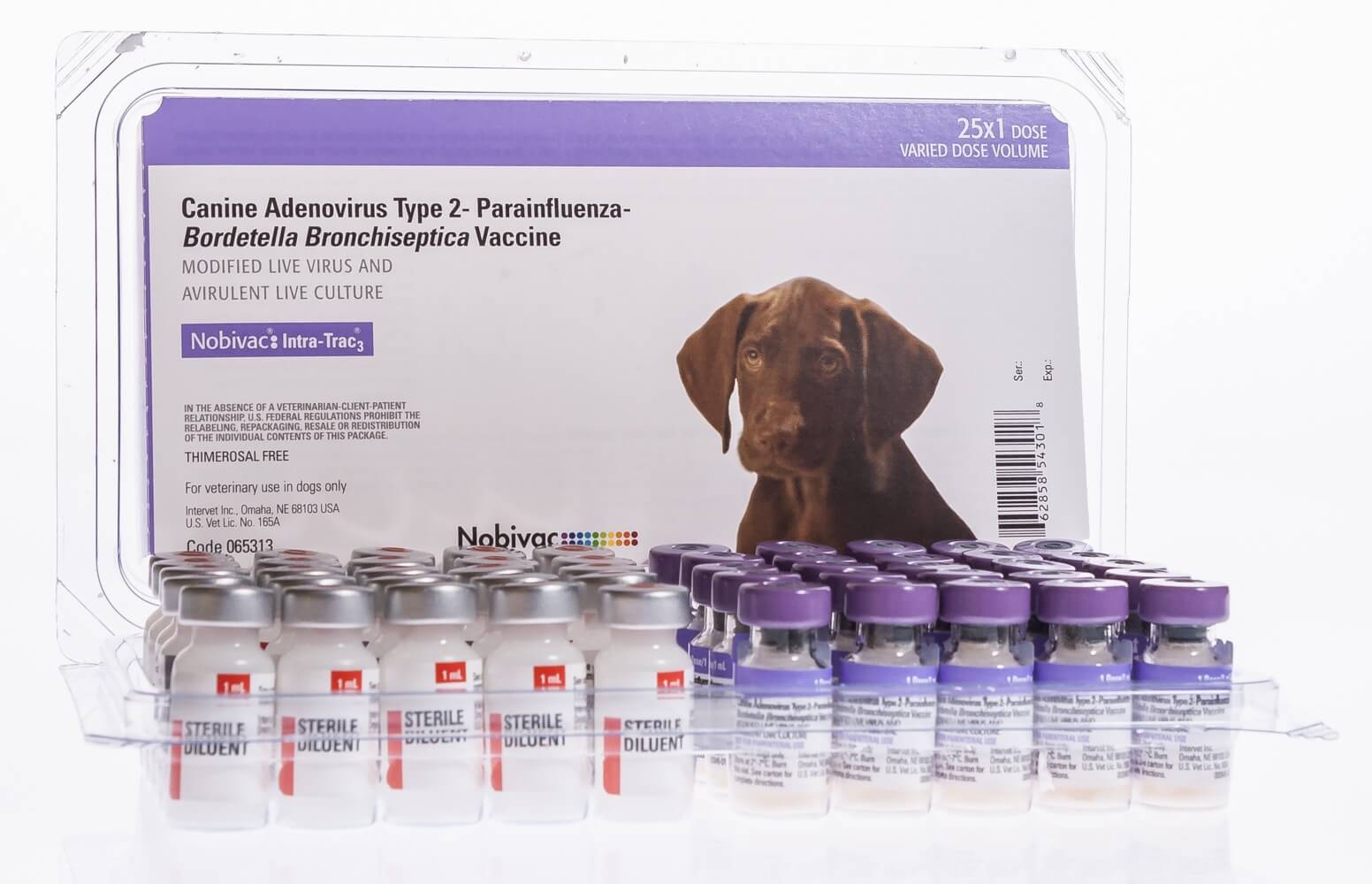 Где вакцина нобивак. Вакцины против пироплазмоза. Нобивак от пироплазмоза для собак. Бабезиоз у собак прививки. Нобивак canine 1-DAPPV.