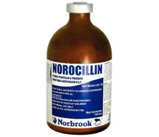 Norocillin Inj, 100 ml packaging 393638 