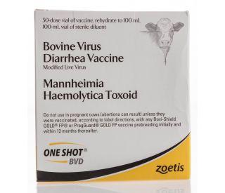 One Shot BVD, 50 ds product contents 385042 