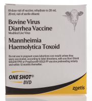 One Shot BVD, 10 ds product contents 385038