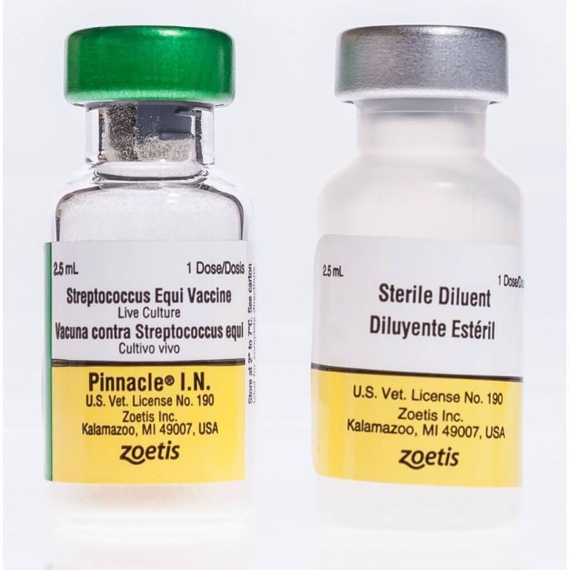 Pinnacle® I.N. | Santa Cruz Animal Health