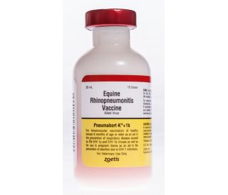 Pneumabort-K +1b, 10 ds packaging 331492 