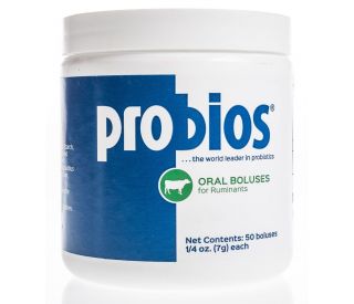 Probios Bolus, 0.25 oz, 50-jar packaging 368626 