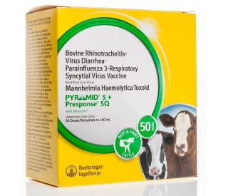 Pyramid 5 + Presponse SQ, 50 ds packaging 364888 