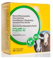 Pyramid 5 + Presponse SQ, 50 ds packaging 364888