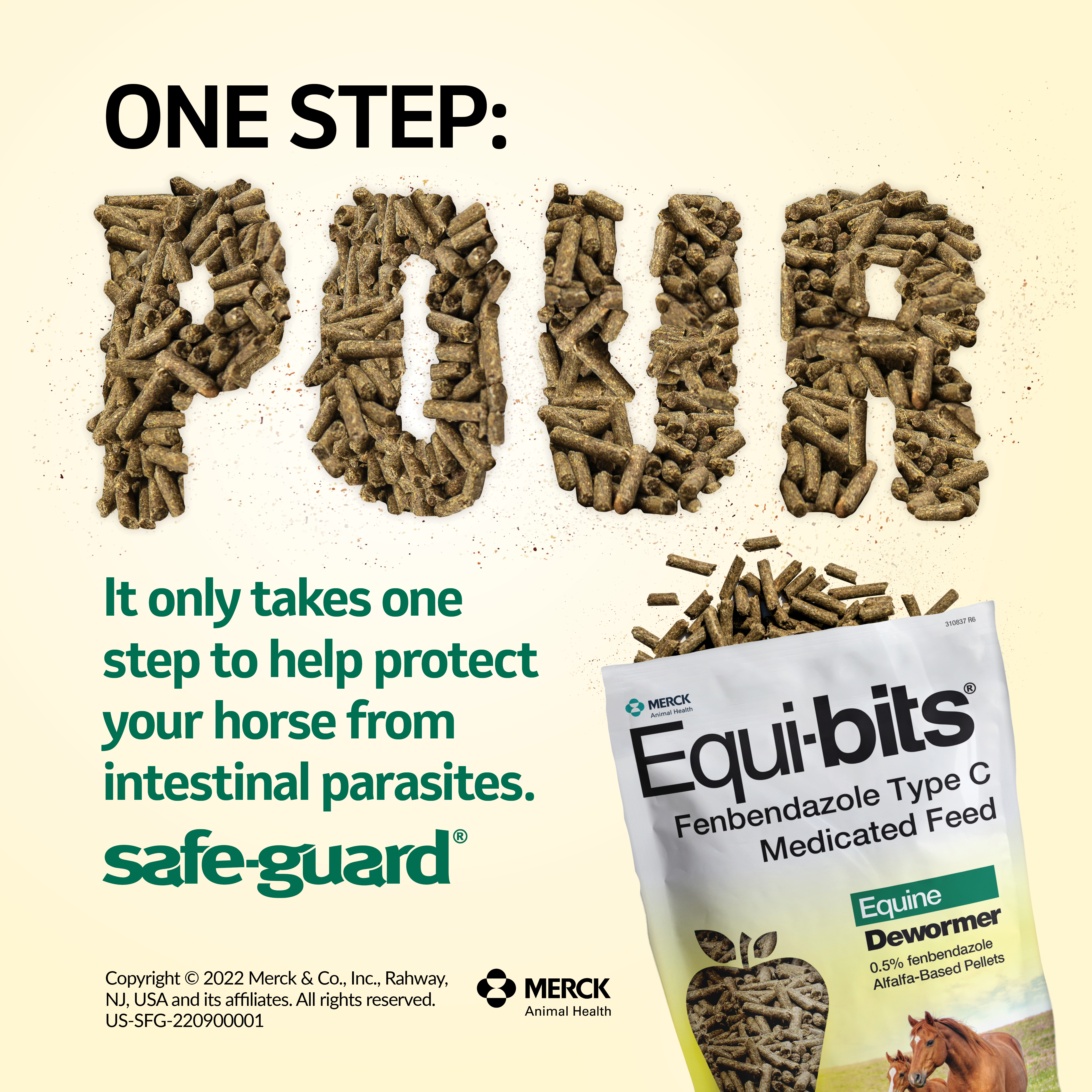 Safe-Guard® Equi-Bits® Fenbendazole Type C Medicated Feed