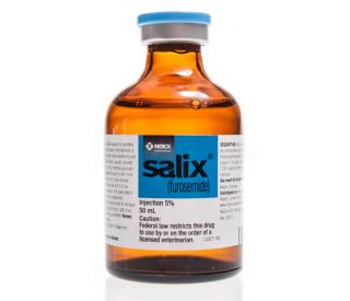 lasix injection for cats