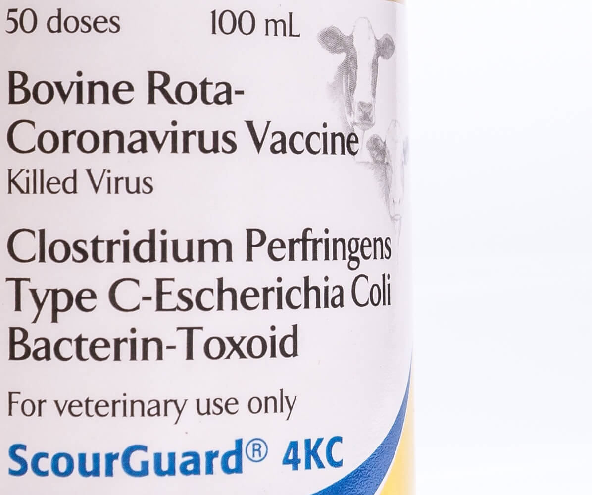 ScourGuard® 4KC | Santa Cruz Animal Health