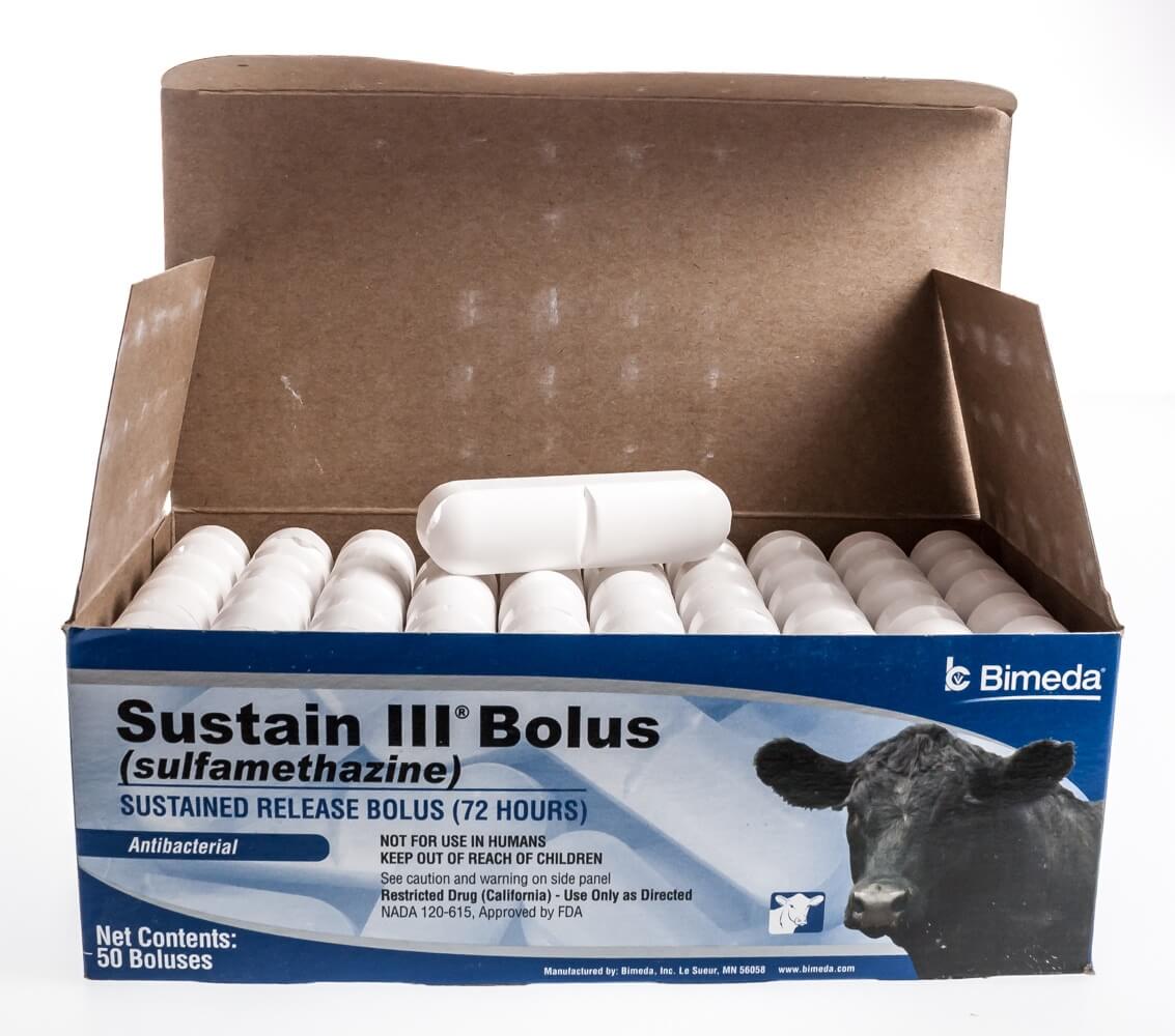 Shop Pharmacy for Sheep Rx Critical Care