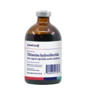 Thiamine B1 injectable, 500 mg-ml, 100 ml product contents 417106
