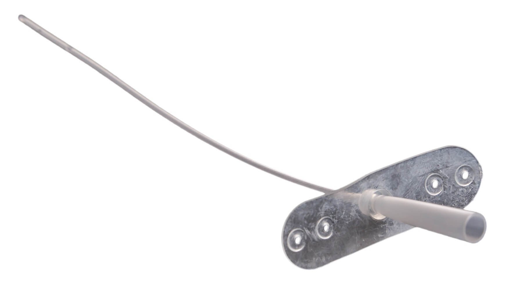 Tom Cat Catheter 3.5 Fr x 5.5 in Santa Cruz Animal Health