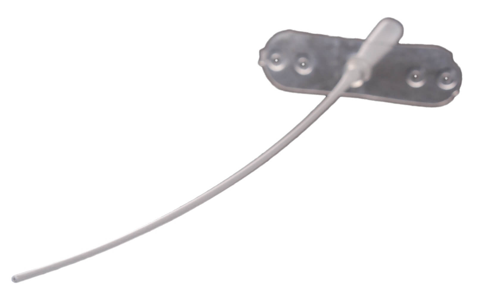 Tom Cat Catheter 3.5 Fr x 5.5 in Santa Cruz Animal Health