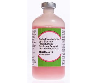 Triangle 5, 50 ds packaging 331749 