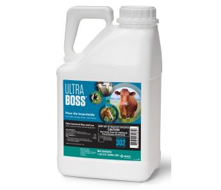 ultra-boss-_40_41_b_404134.jpg