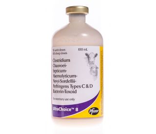 UltraChoice 8, 50 ds packaging 331819 